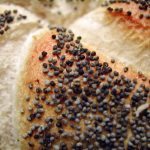 poppy seeds