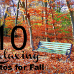 10 Relaxing Photos for Fall