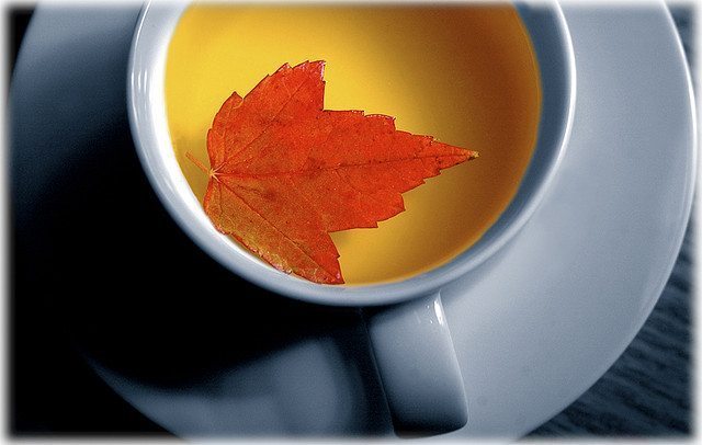 Fall tea