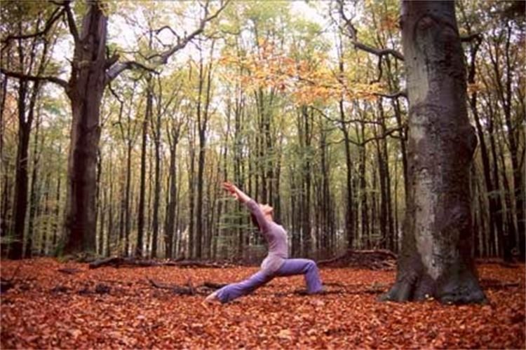 Fall yoga