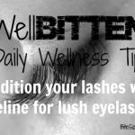 WellBitten Feature oct 17