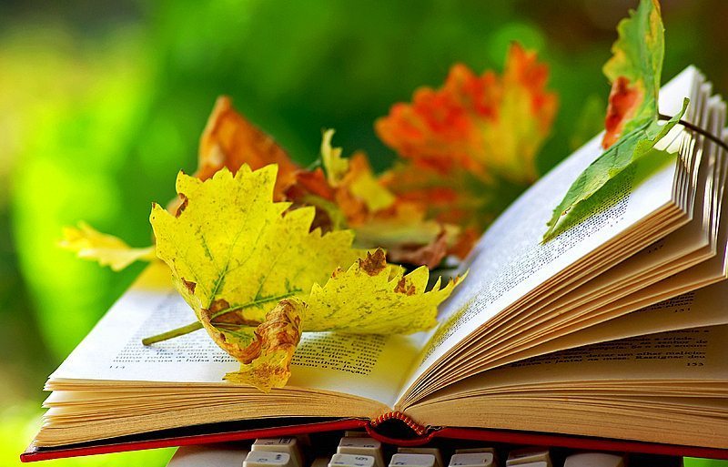 Image result for reading in fall