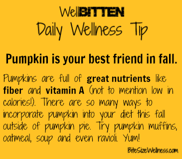 WellBitten Wellness Tip: Nutritious Pumpkin 
