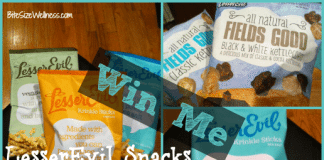 LesserEvil Snacks Giveaway with Bite Size Wellness