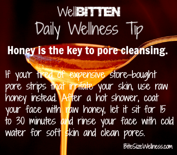 WellBitten Wellness Tip: Use Honey for Pore Cleansing 