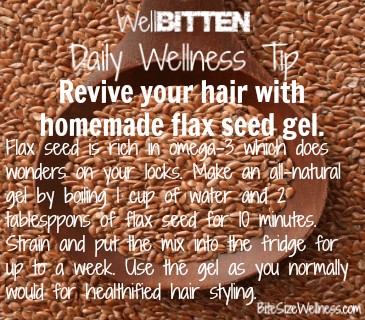 WellBitten Wellness Tip: Homemade Flax Seed Gel