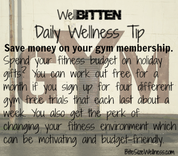 WellBitten Wellness Tip: Save Money on your Gym Membership