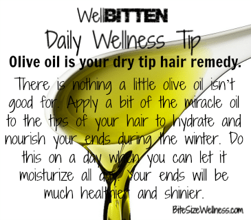WellBitten Wellness Tip: Use Olive Oil for Dry Hair