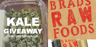 Brad's Raw Food Kale Chip Giveaway