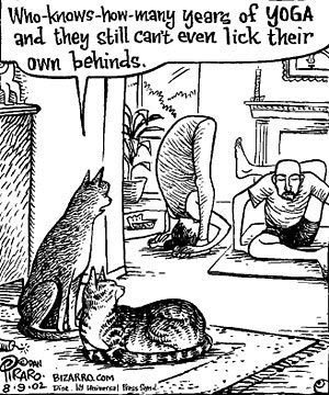Cat Yoga Comic