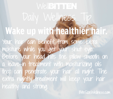 WellBitten Wellness Tip: Healthy Hair while you Sleep