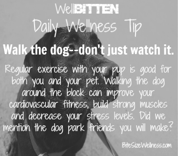 WellBitten Wellness Tip: Walk your Dog