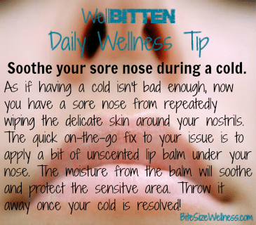 WellBitten Wellness Tip: Cure Your Dry Nose
