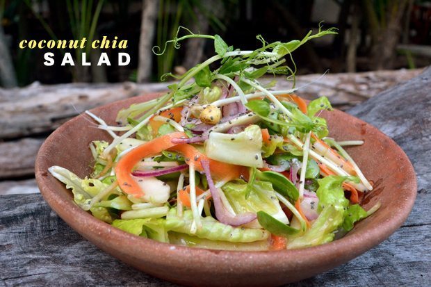 Coconut Chia Salad