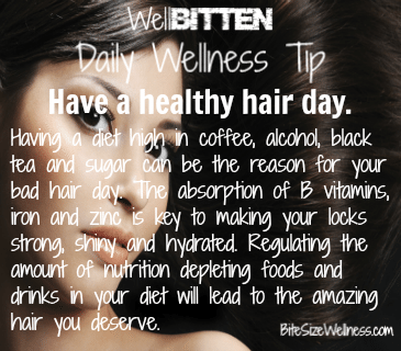 WellBitten Wellness Tip: Have a Healthy Hair Day