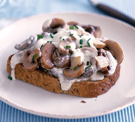 mushroom stroganoff toast