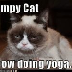 Grumpy Cat yoga