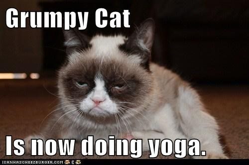 Grumpy Cat yoga