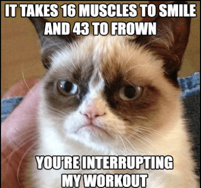 Interrupting my workout grumpt cat