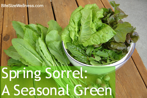 Sorrel Spring Green Recipes