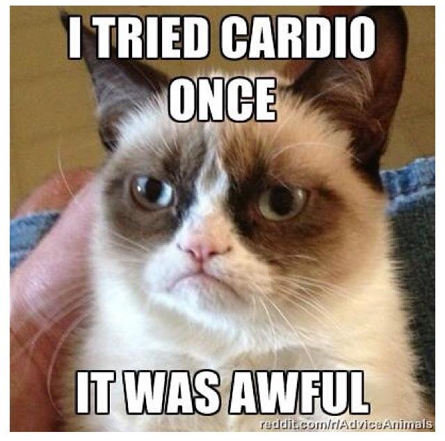 grumpy cat fitness