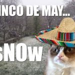 Grumpy Cat Cinco de Mayo