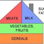 Hungary’s Food Pyramid