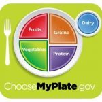 My Plate US Food Pyramid