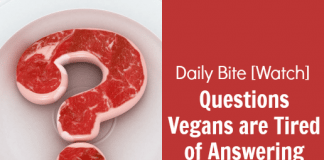 Questions Vegans are Tired of Answering