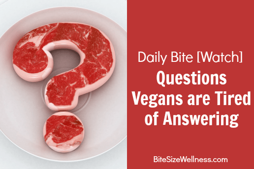 Questions Vegans are Tired of Answering