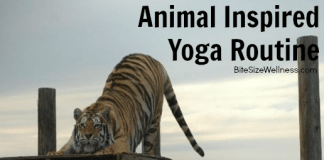 Animal Inspired Yoga Routine