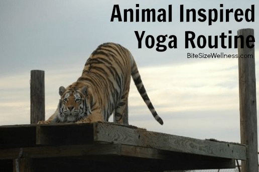 Animal Inspired Yoga Routine