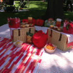 Picnic In the Park Close-Up