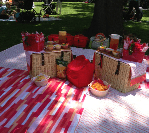 Picnic In the Park Close-Up