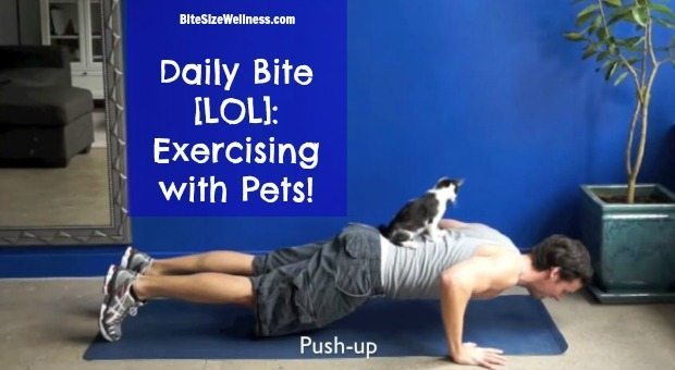 Daily Bite LOL - Exercising with Pets Video