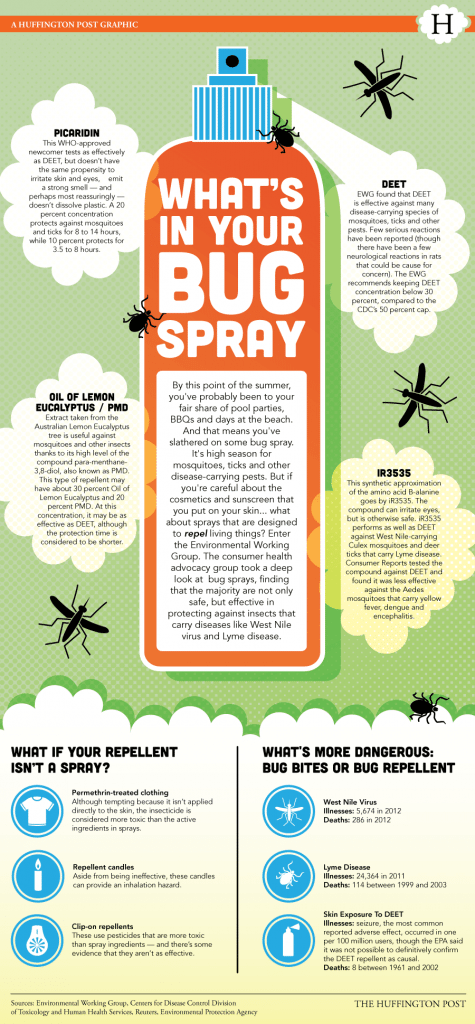 bugspray infographic