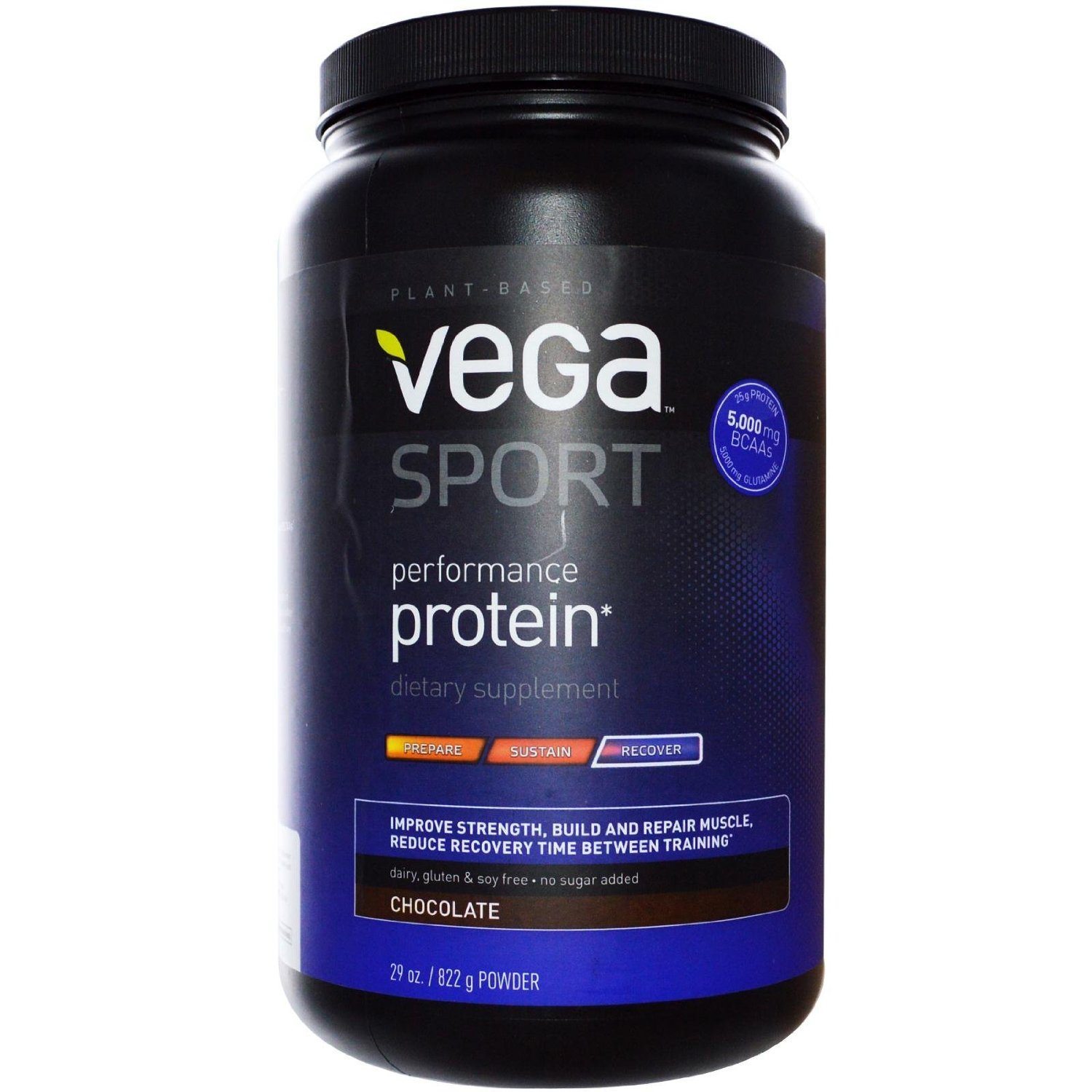 vega protein - Dash of Wellness