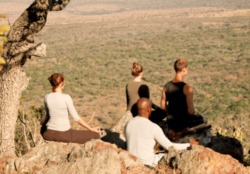 AndBeyond South Africa Yoga Safari