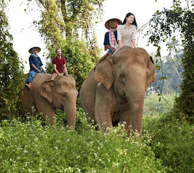 Antara Golden Triange Elephant Camp Yoga