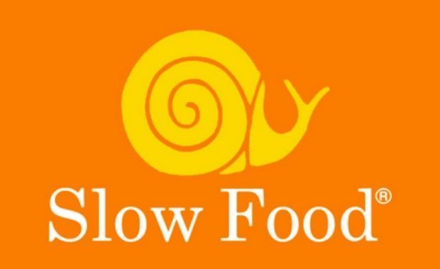 Slow Food Movement For BSW World and Work