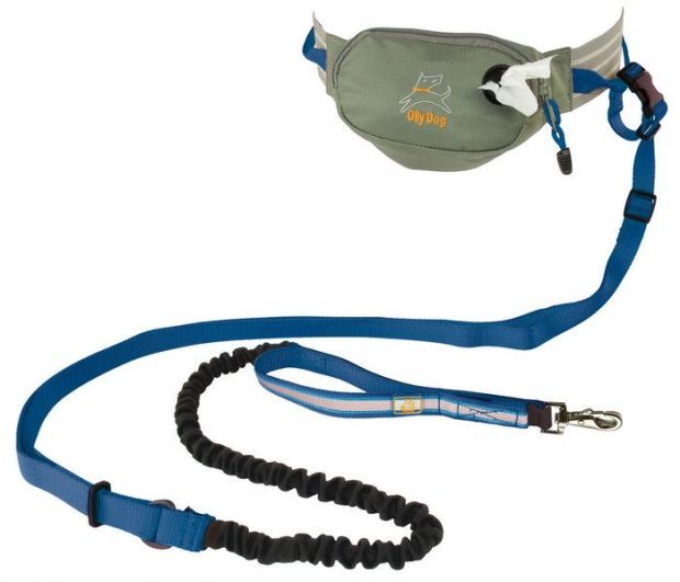 mt belt-and-leash-runners-gifts