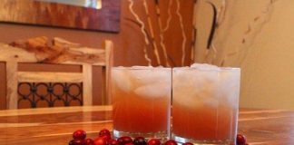 Holiday Cranberry Rum Punch