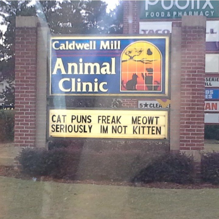 Cat puns on a sign