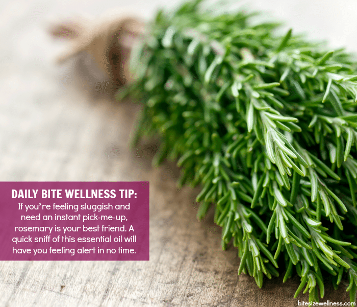 Daily Bite Wellness Tip - Smell Rosemary for Energy