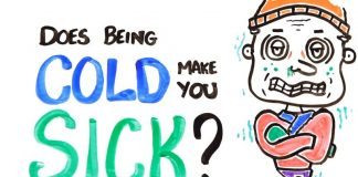 Does Being Cold Make You Sick