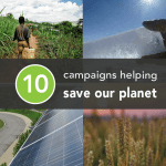 Greatist Campaigns to Save the Planet