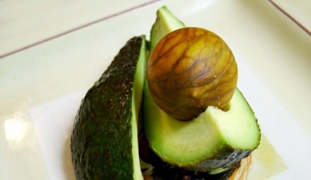 Daily Bite Wellness Tip - Avocado for Dry Skin - Feature