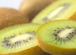 Daily Bite Wellness Tip - Eat More Kiwi - Feature