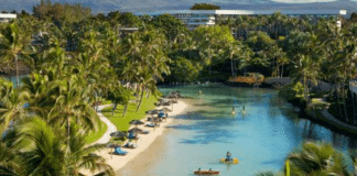 Bite Size Wellness Tranquil Travel Hilton Hawaii