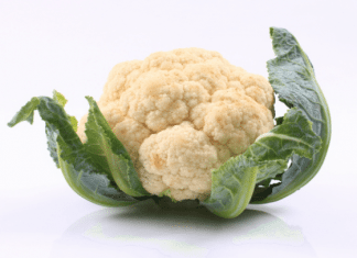 Daily Bite Wellness Tip Cauliflower Carb Replacer feat image